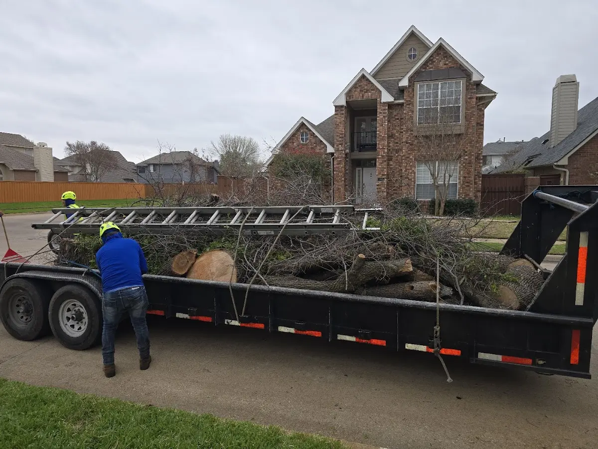 Expert Lot Clearing with proper safety equipment in Council
